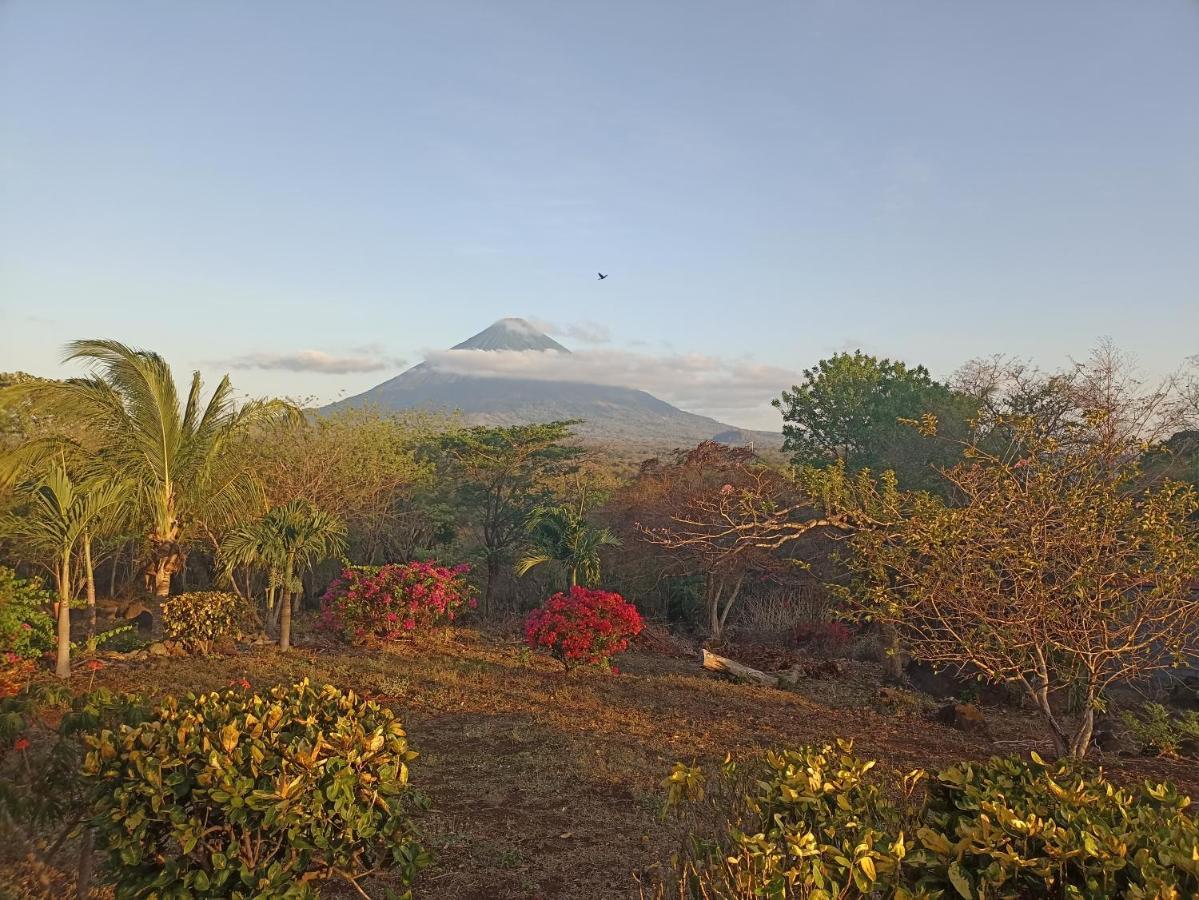 Hostel Santa Cruz Ometepe Altagracia Екстер'єр фото